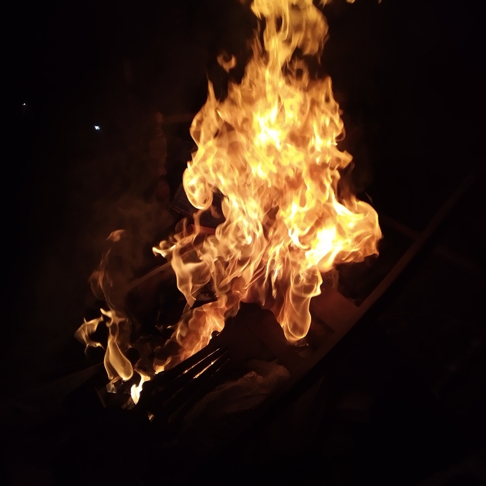 Firewood seasoned and split